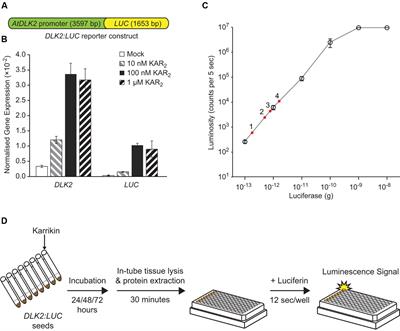 Reporter Gene-Facilitated Detection of Compounds in Arabidopsis Leaf Extracts that Activate the Karrikin Signaling Pathway